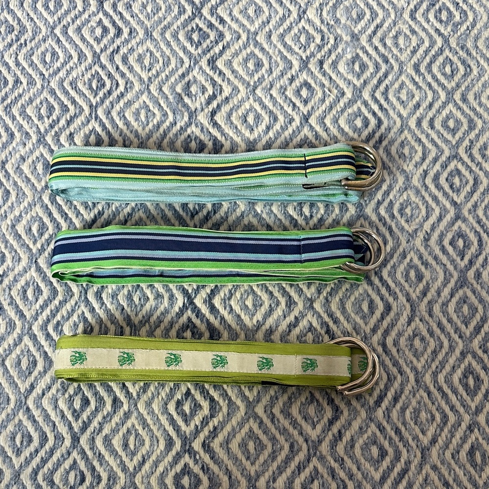3 Ck Bradley Ribbon Belts